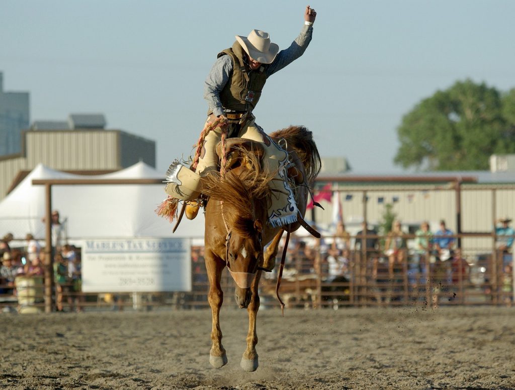 You need to saddle up and master your money like this rodeo cowboy has mastered the art of riding a bucking bronco. 