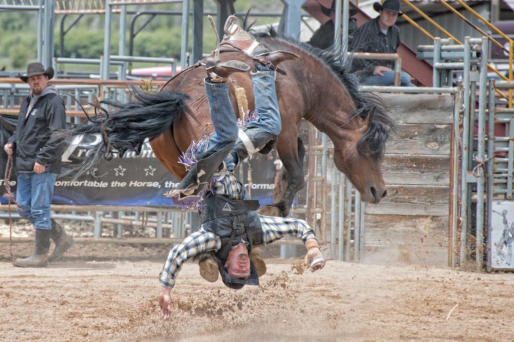 Unable To Gain Control Of Your Money? A rodeo cowboy in mid-air after being thrown from a bucking bronco, illustrating failed attempts to master your money in the past.