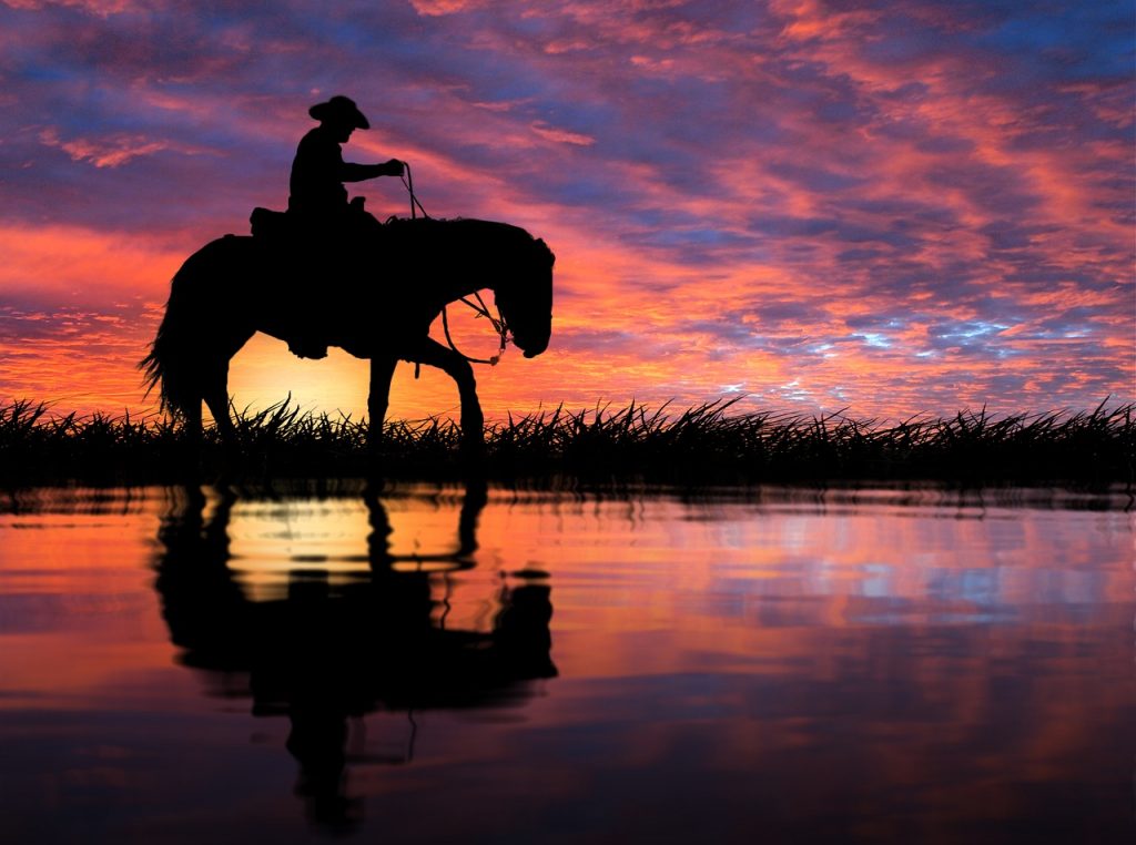 A cowboy riding a horse with a sunset in the background, illustrating how, once mastered, money can help you reach your goals.