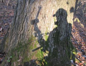 My shadow silhouette on a tree in the fall woods while bowhunting.