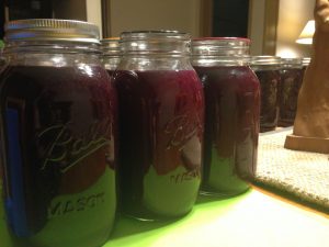 Sealed mason jars filled with Concord grape juice.