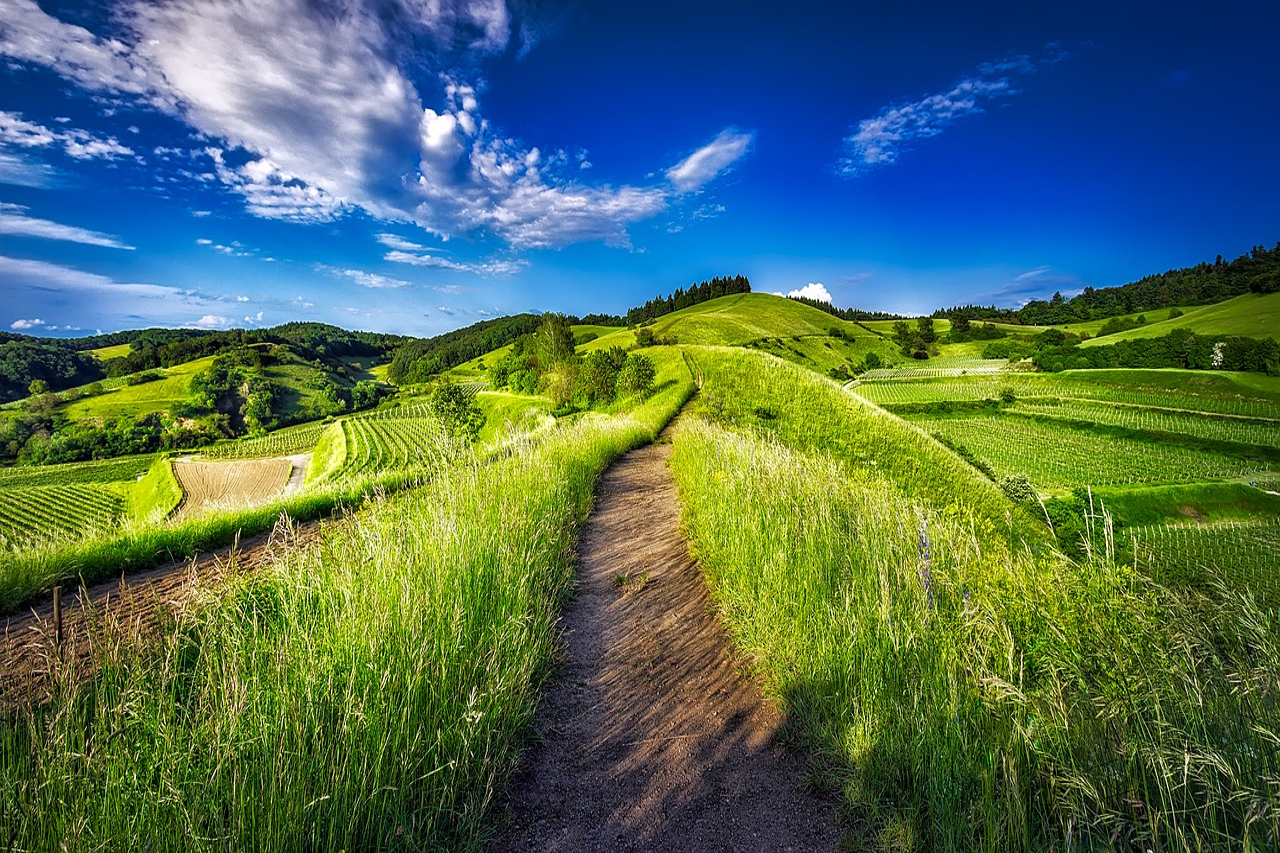 A dirt path winding atop grassy hills, representing the path to financial freedom.