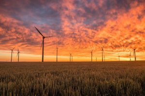 A field of windmills, silhouetted by a glowing orange sunset.